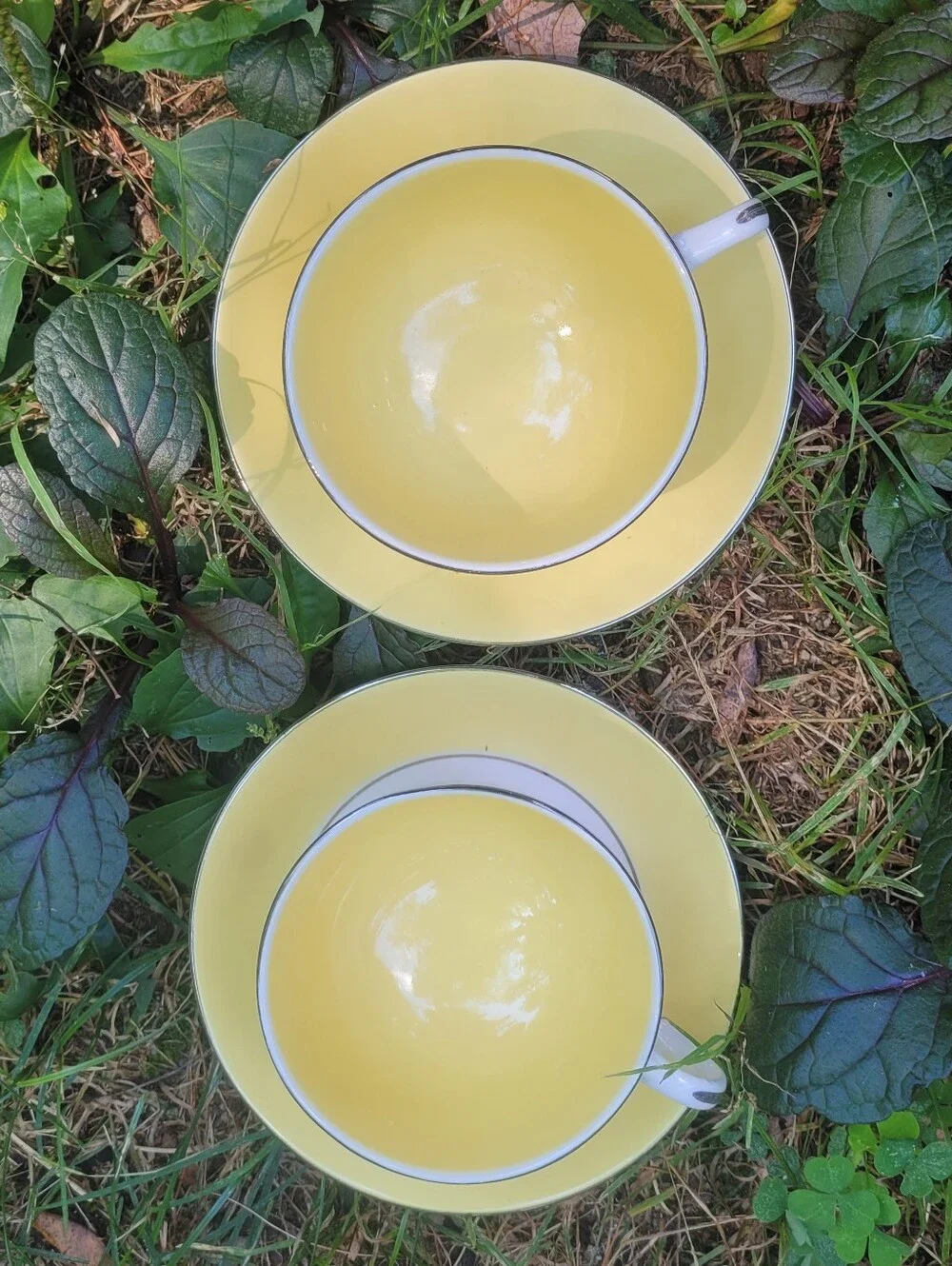 Dutch Farmer Tea Cups & Saucer Plate Set Farmhouse Farmers Wife Cottagecore